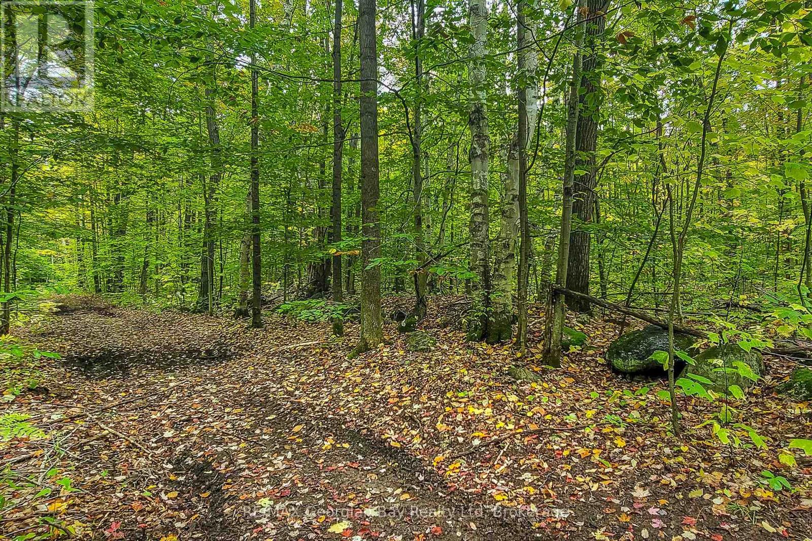 Lot 18 Conc 19 Road W Property Photo 6
