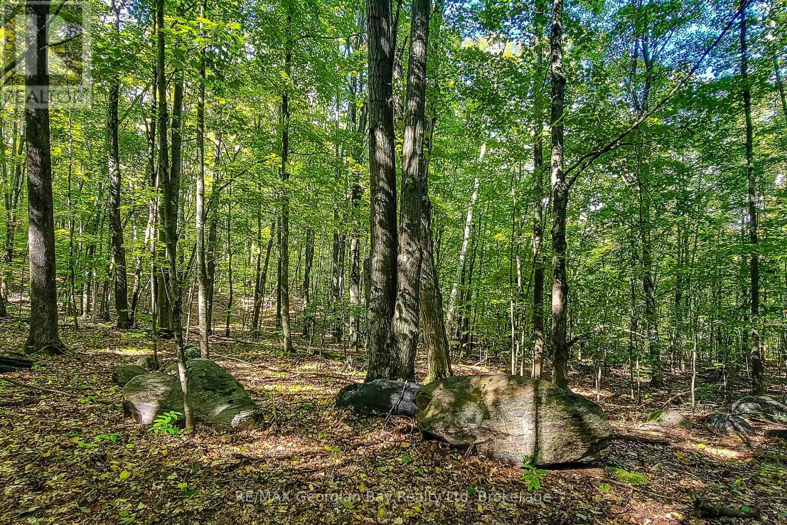 Lot 18 Conc 19 Road W Property Photo 8