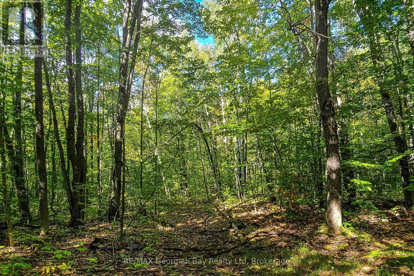 Lot 18 Conc 19 Road W Property Photo 9