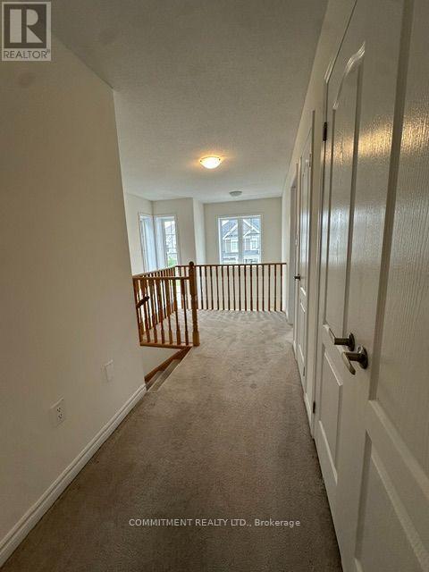 14 Shapira Avenue Property Photo 10