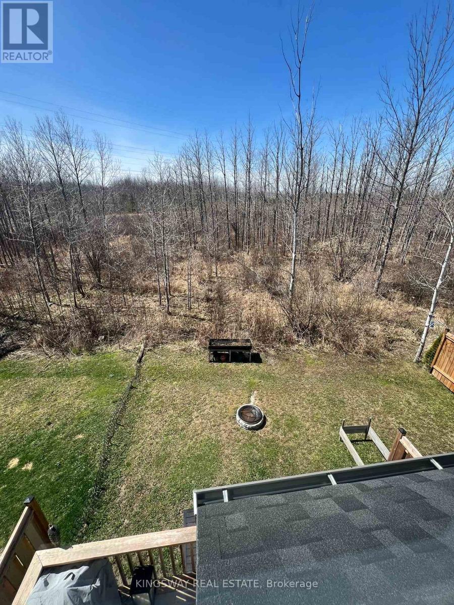 255 Atkinson Street Property Photo 29
