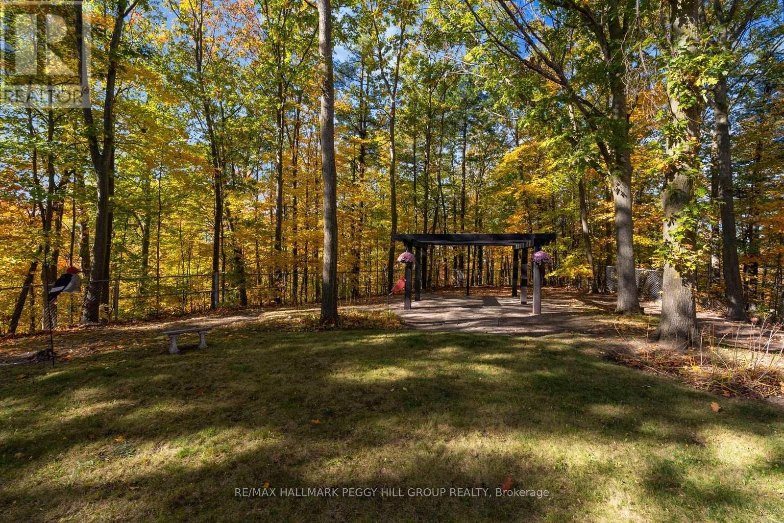61 White Elm Road Property Photo 36