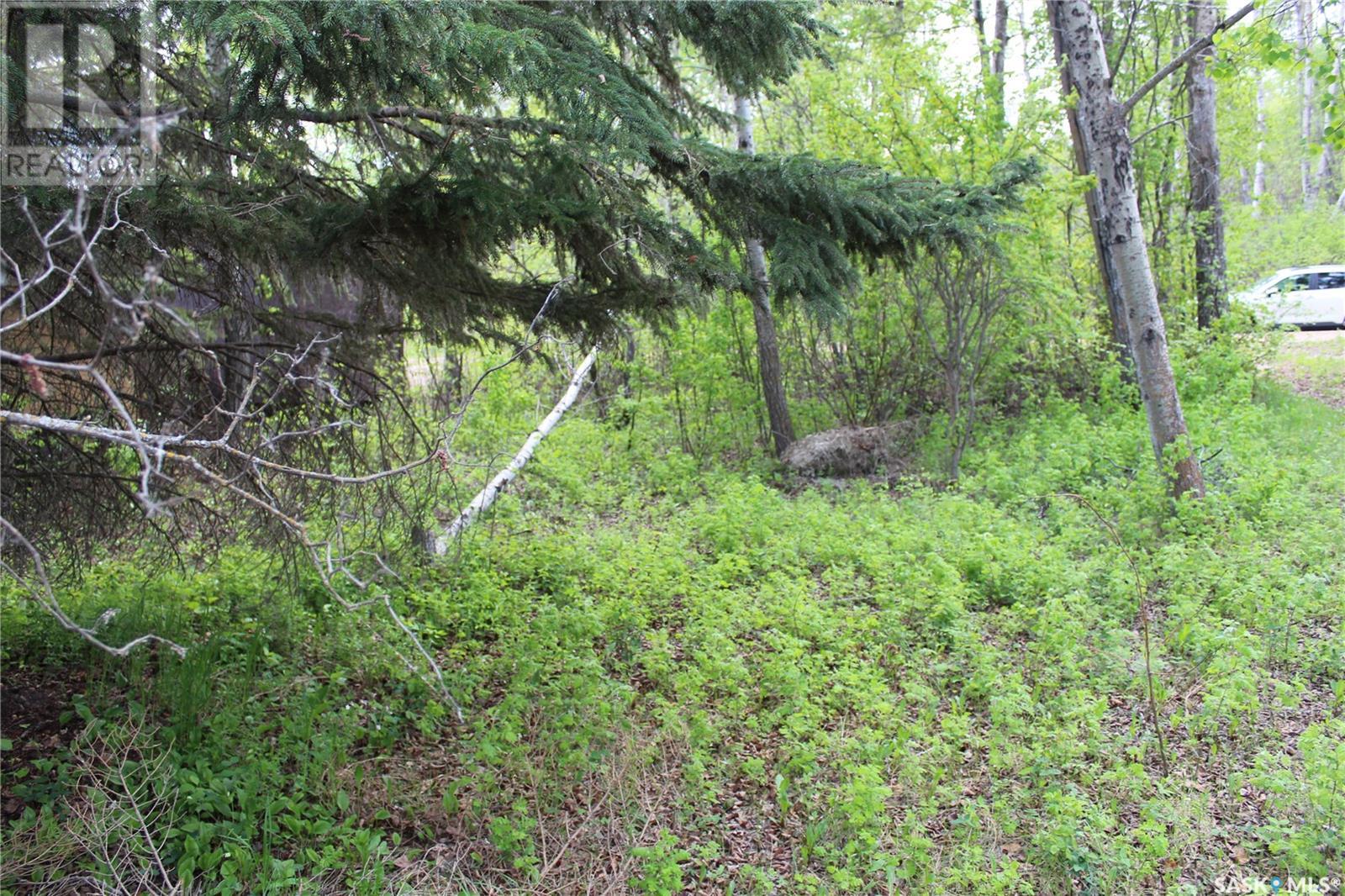 3632 Schitka Beach Drive Property Photo 29