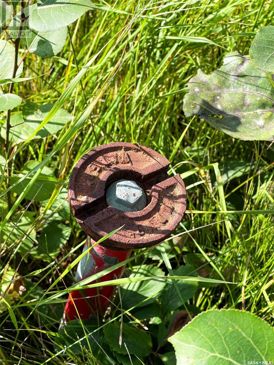 542 Larch Street Property Photo 27