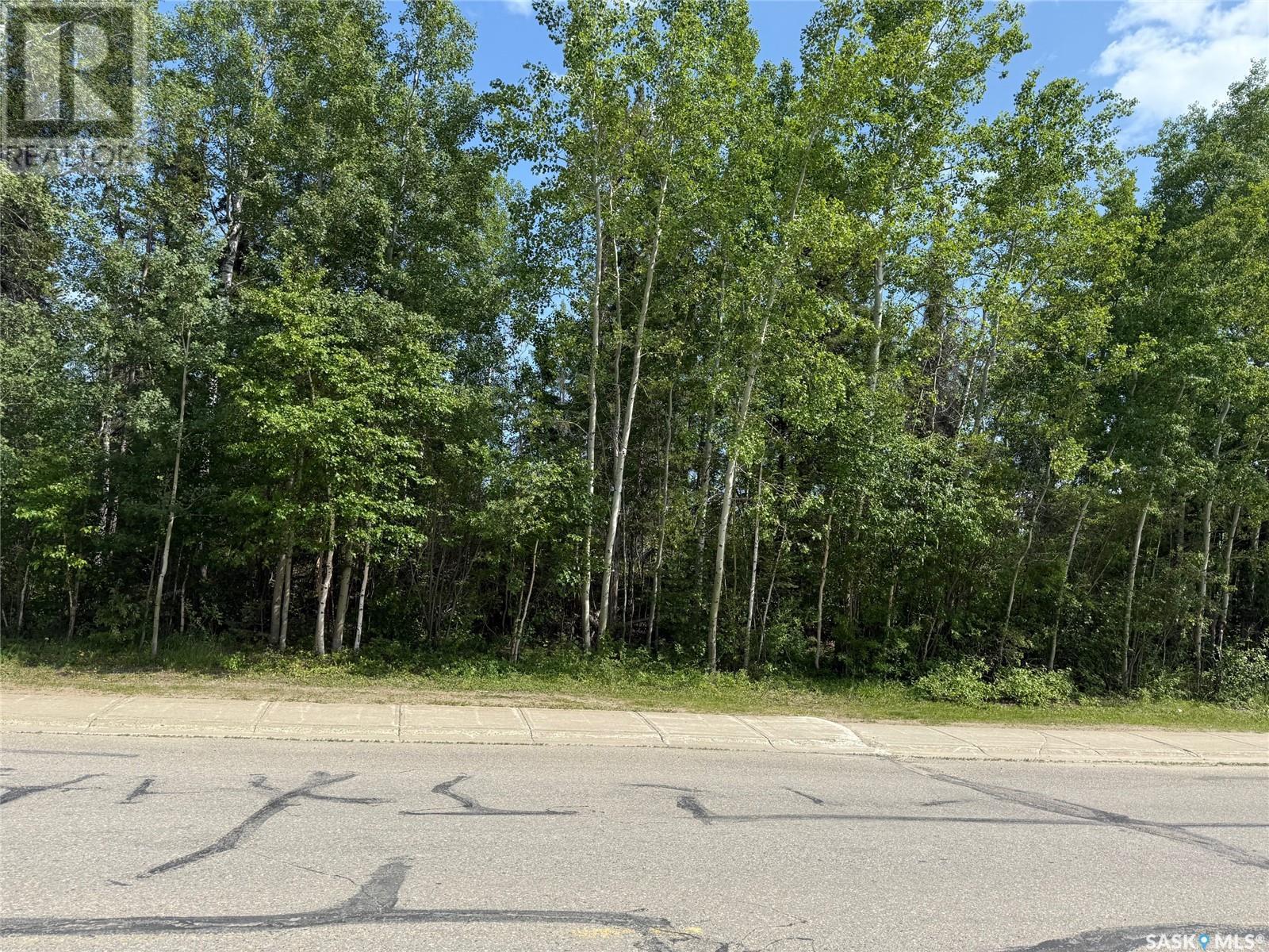 1307 Studer Street Property Photo 1