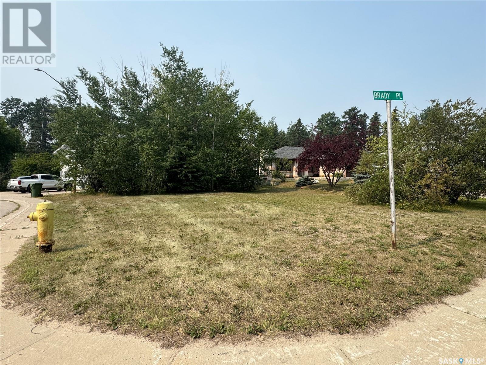 972 Brady PLACE Property Photo 1