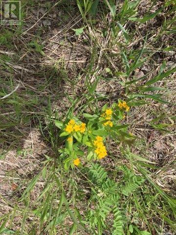 Kunitz Farm Property Photo 9