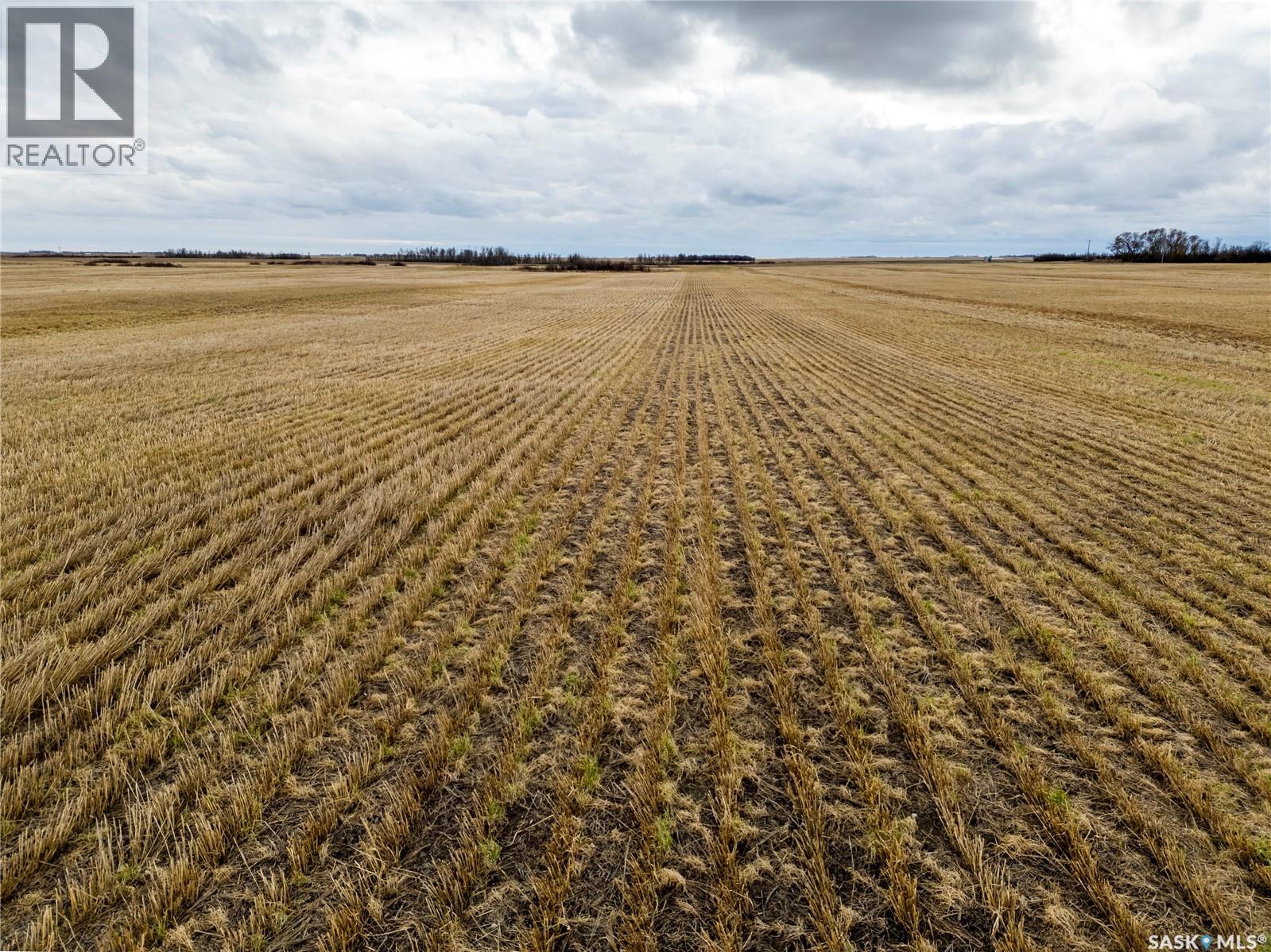 2, 326 Acres - Estevan/Macoun