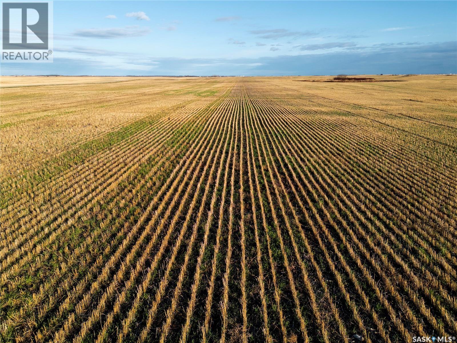 2, 326 Acres - Estevan/macoun Property Photo 22