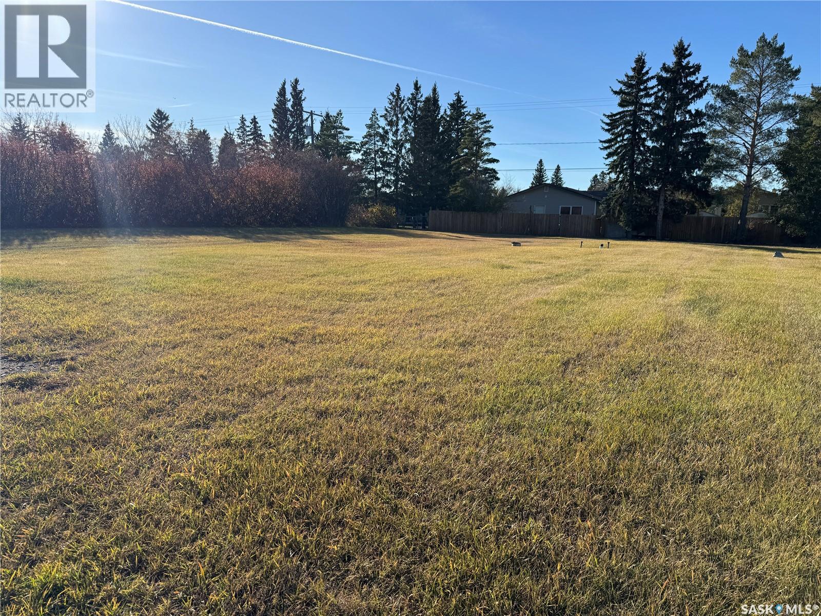315 Arthur Street Property Photo 2