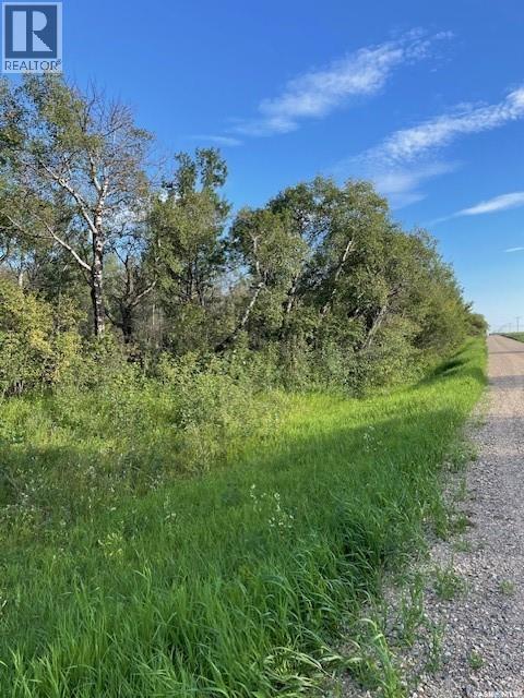 Acreage Lot Property Photo 4