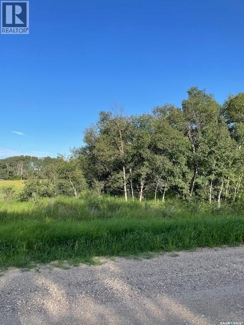 Acreage Lot Property Photo 5