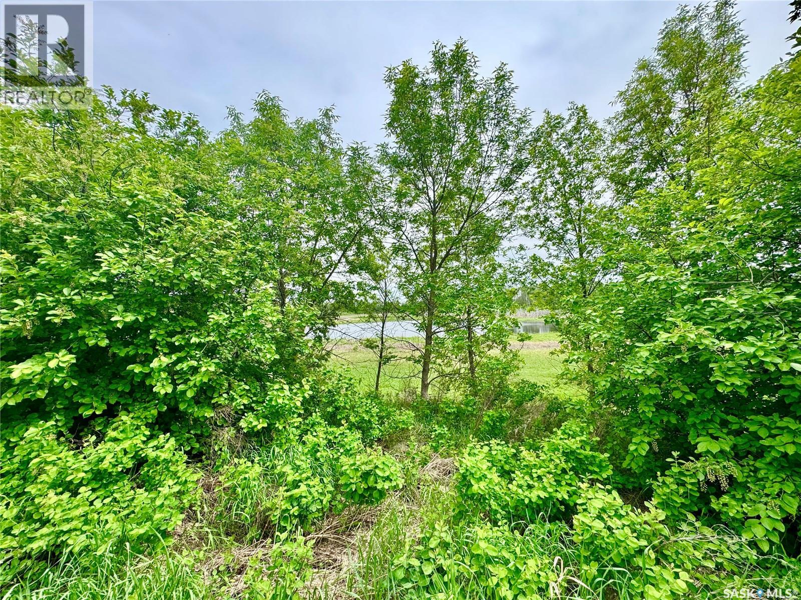 Soles Road Acreage Property Photo 49