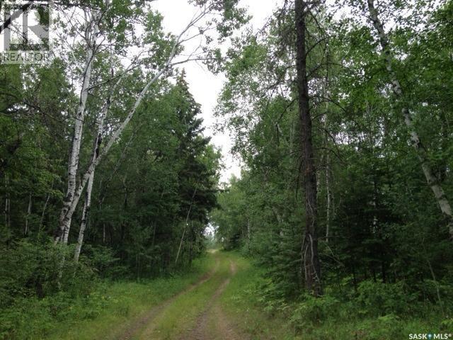 3-3 Lot 1.20 Acre Property Photo 1