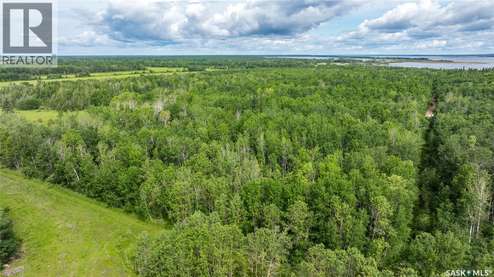 10 Acre Delaronde Lake Acreage Property Photo 6