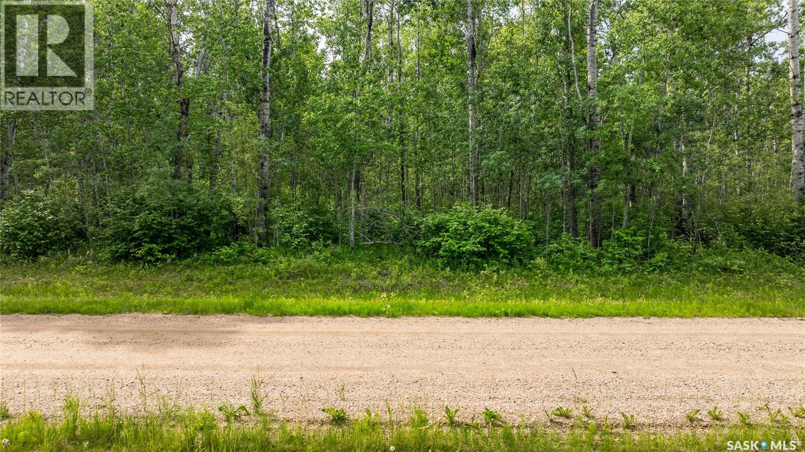 10 Acre Delaronde Lake Acreage Property Photo 9
