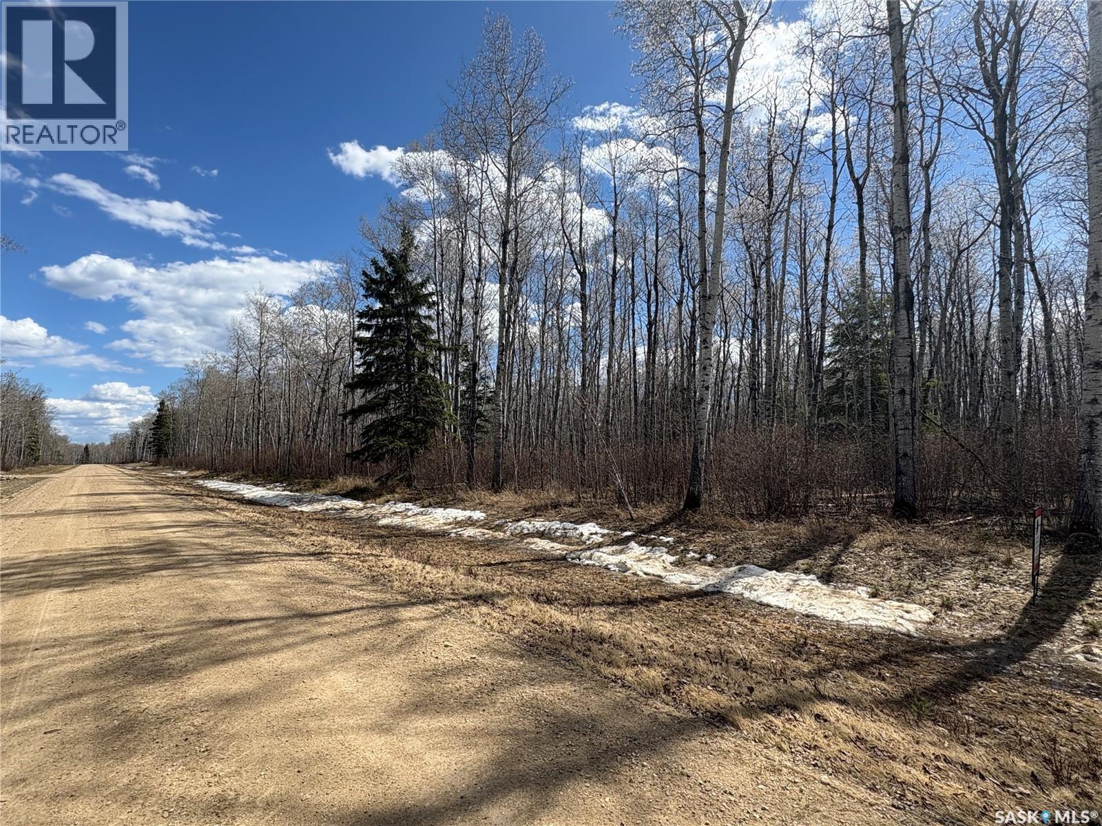 10 Acre Delaronde Lake Acreage Property Photo 10