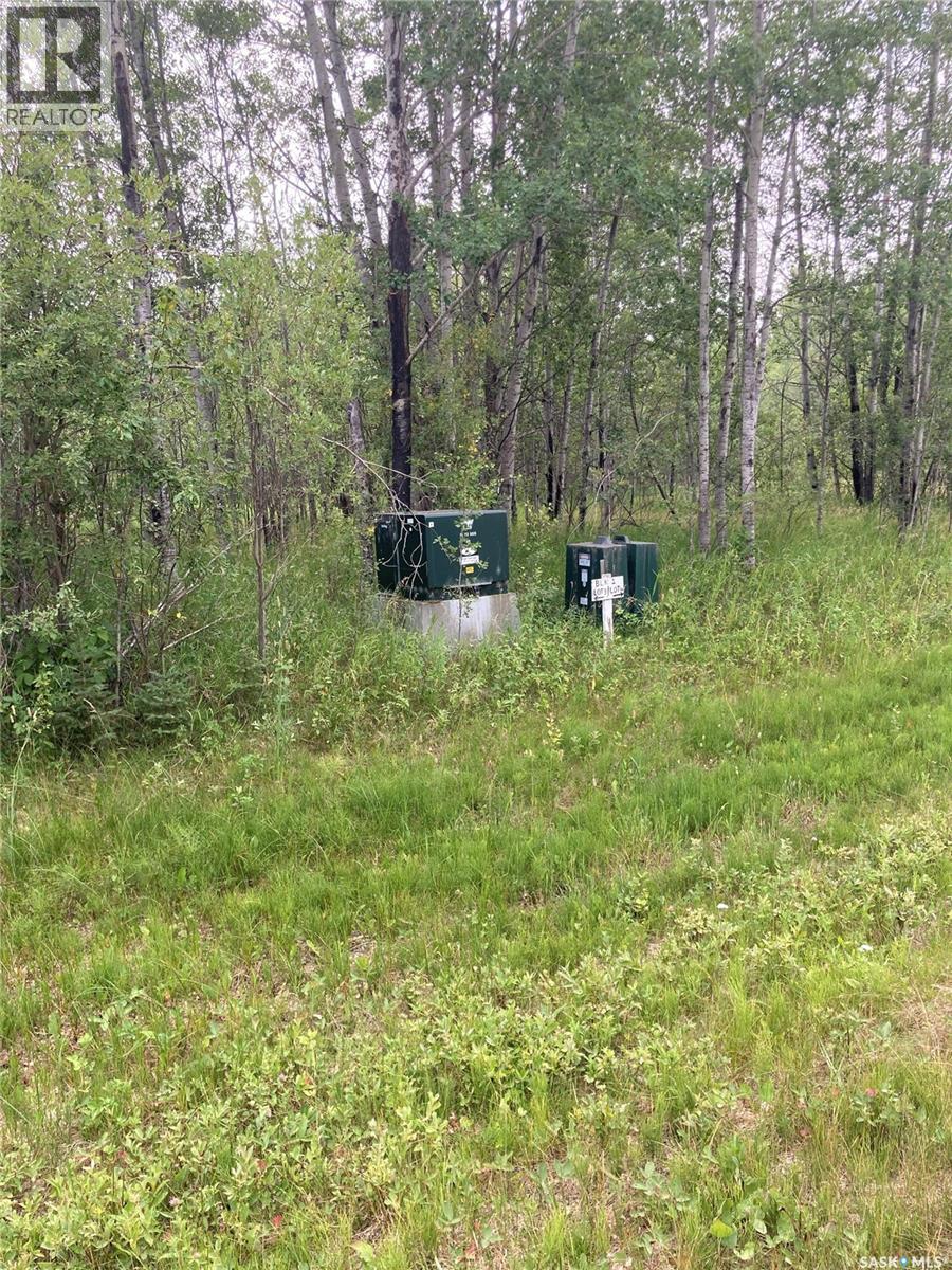 10 Acre Delaronde Lake Acreage Property Photo 11