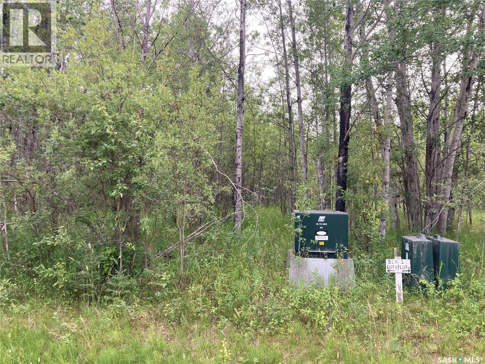 10 Acre Delaronde Lake Acreage Property Photo 12