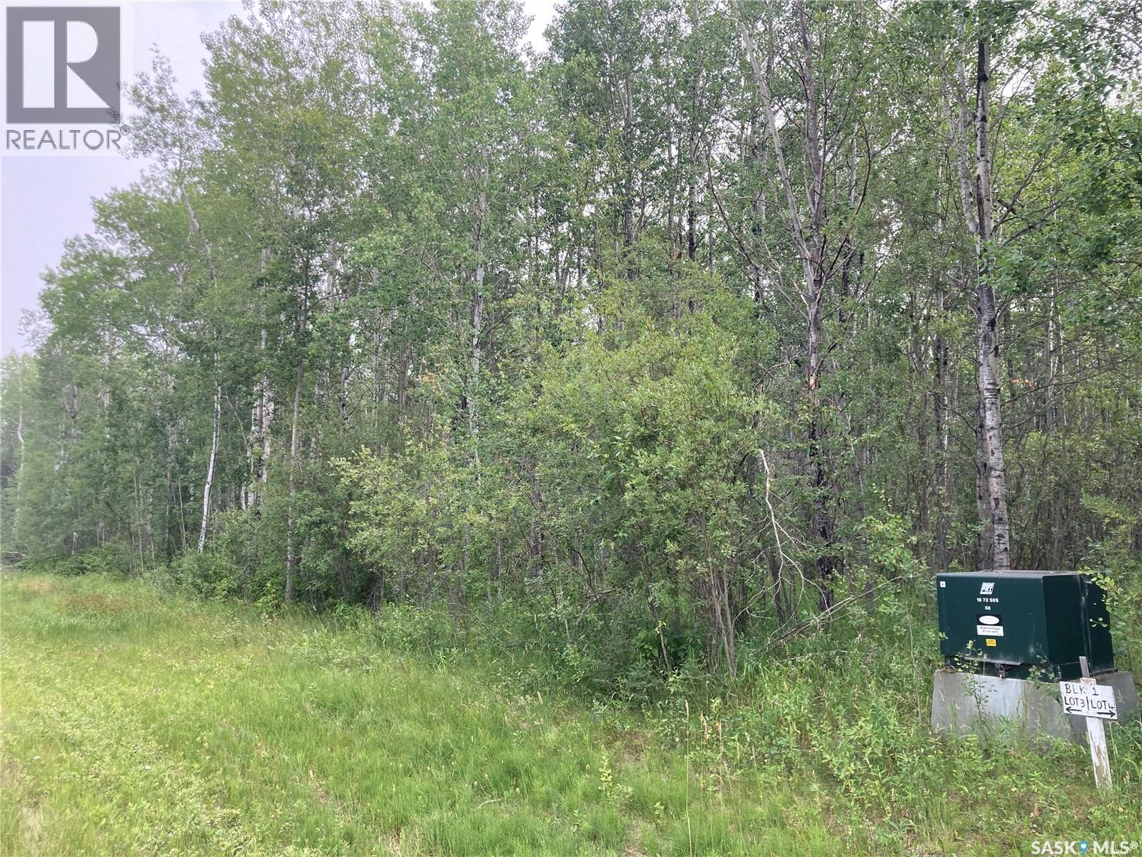 10 Acre Delaronde Lake Acreage Property Photo 13