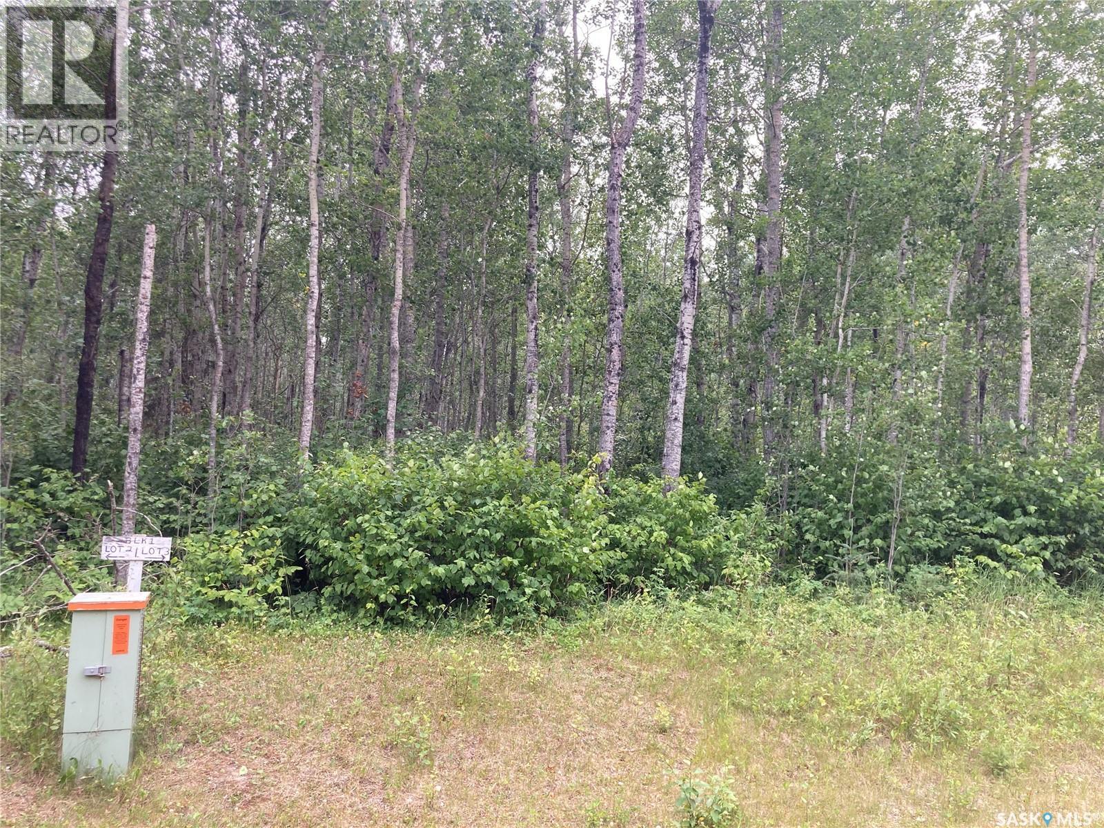 10 Acre Delaronde Lake Acreage Property Photo 14
