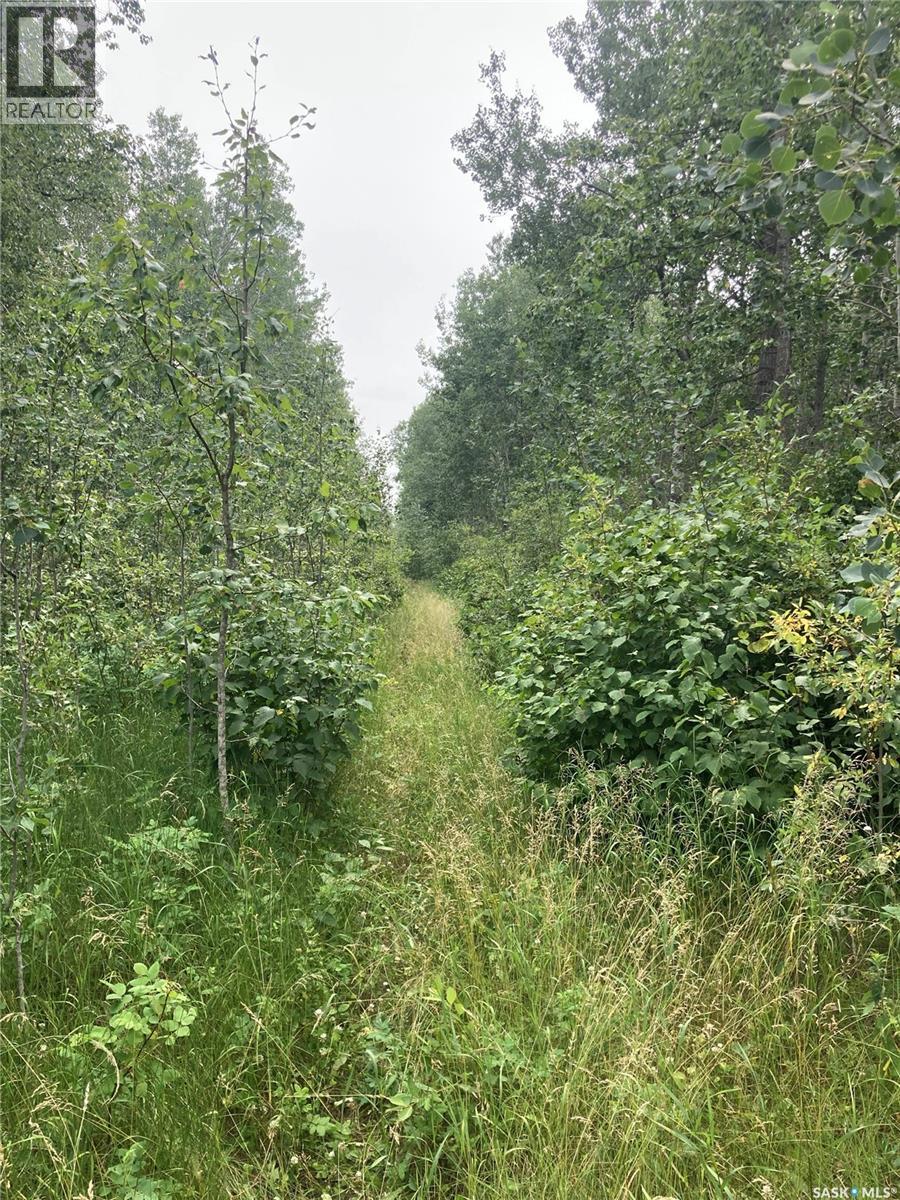 10 Acre Delaronde Lake Acreage Property Photo 15