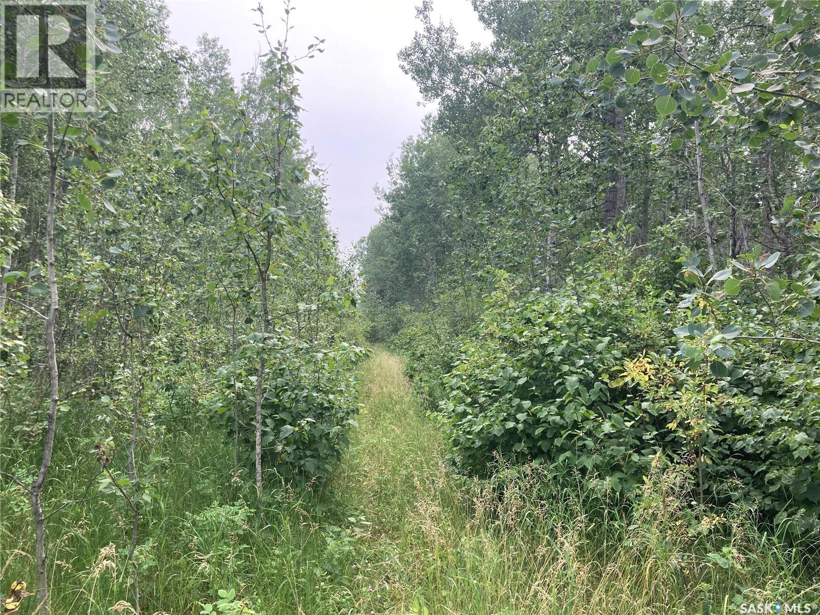 10 Acre Delaronde Lake Acreage Property Photo 16