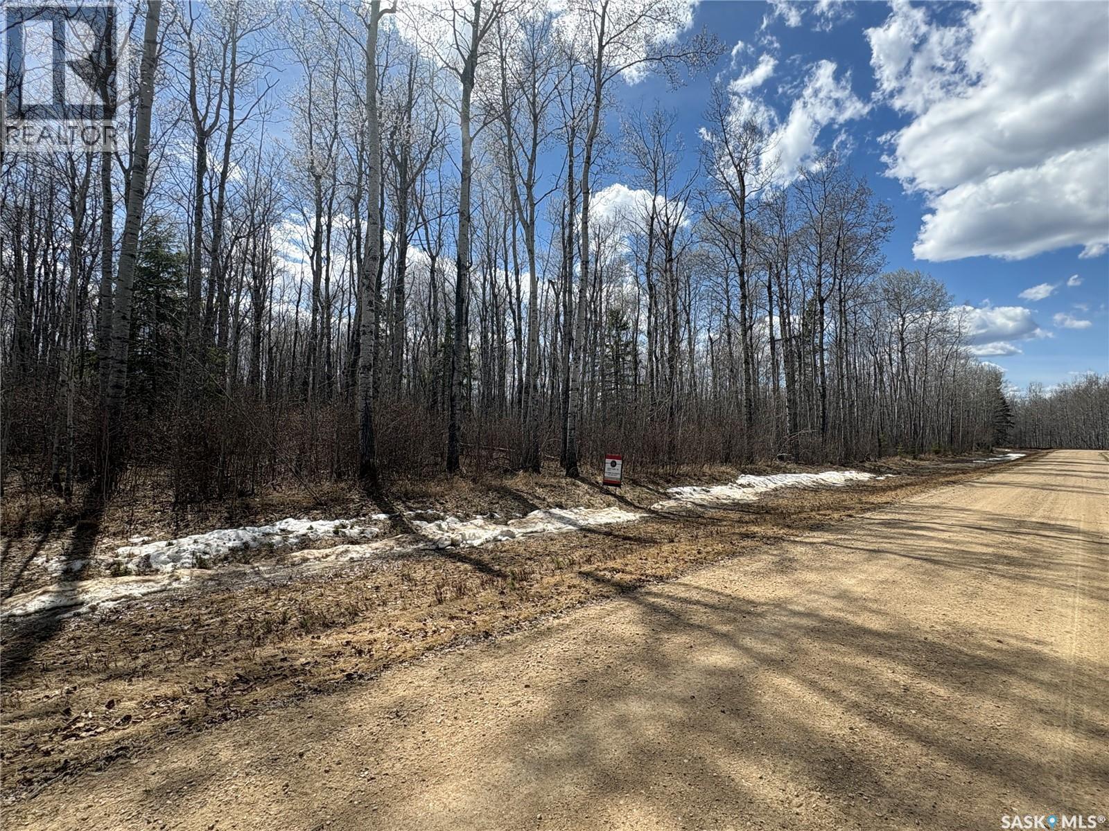 10 Acre Delaronde Lake Acreage Property Photo 18