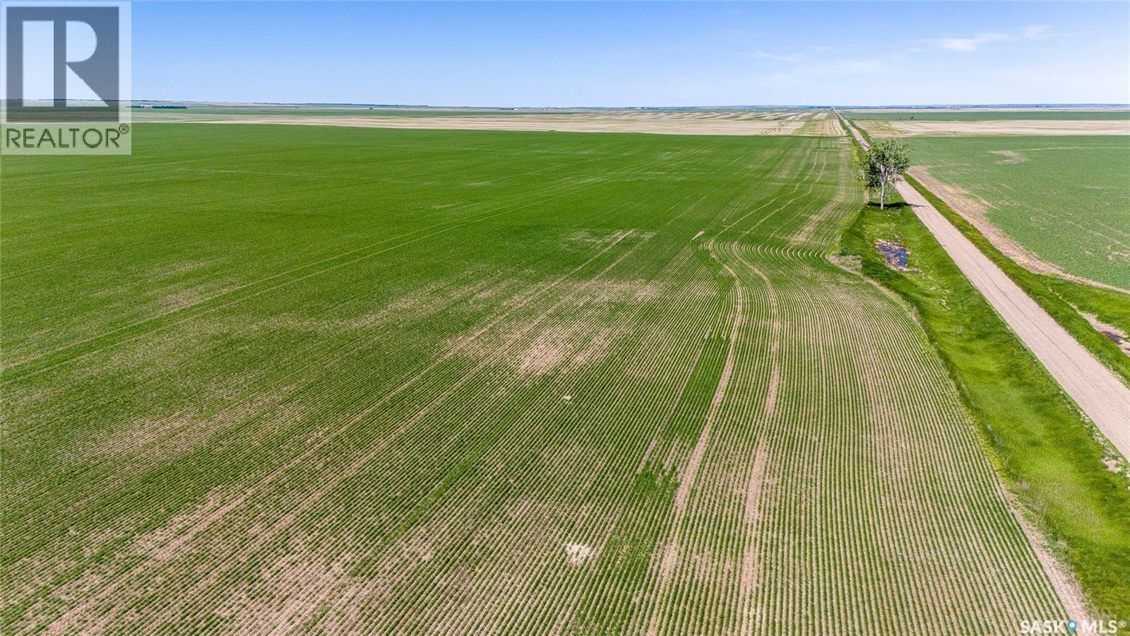 5 Quarters Grainland Near Palmer, Sk (solberg) Property Photo 3