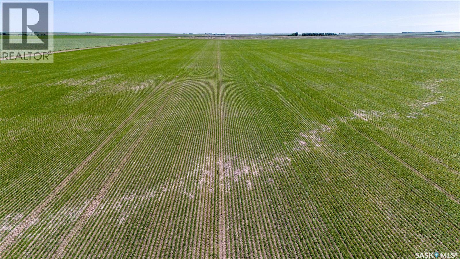 5 Quarters Grainland Near Palmer, Sk (solberg) Property Photo 6