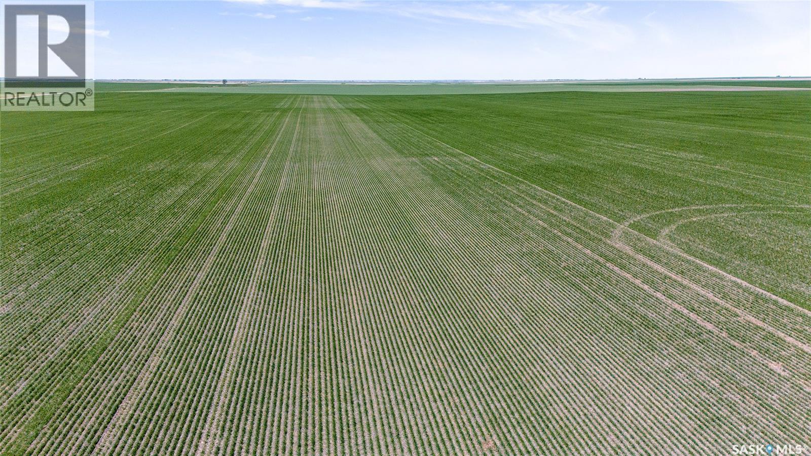 5 Quarters Grainland Near Palmer, Sk (solberg) Property Photo 12
