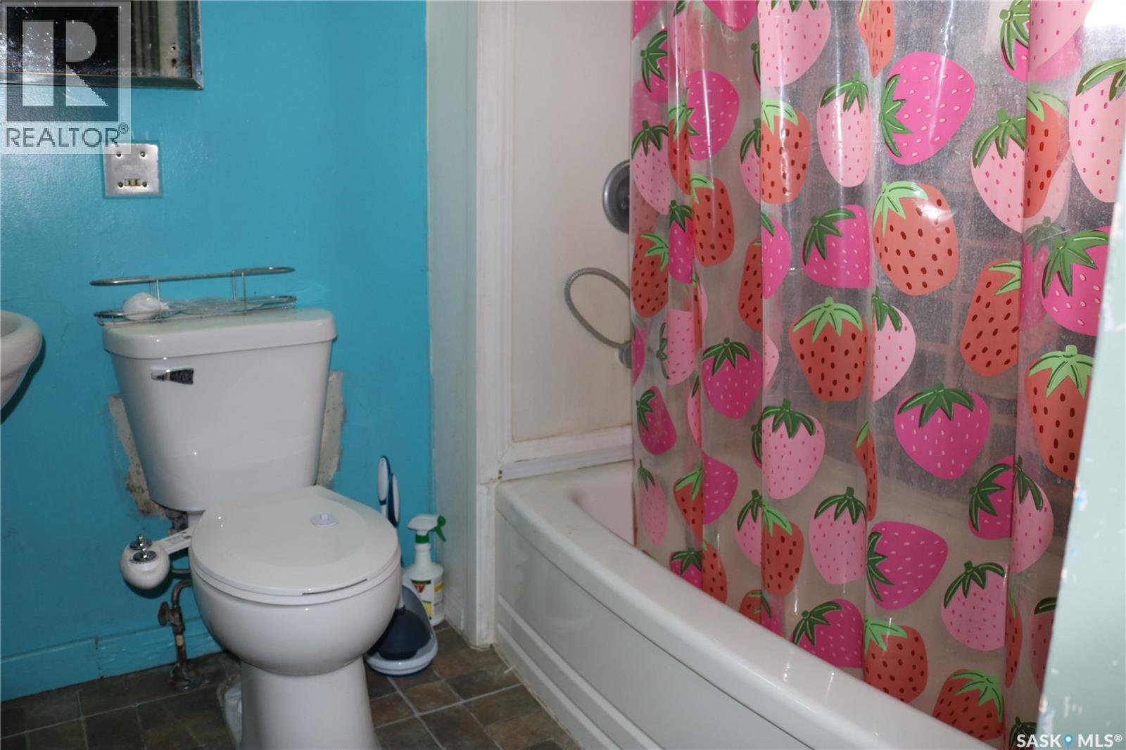 219 Carlton Street Property Photo 15