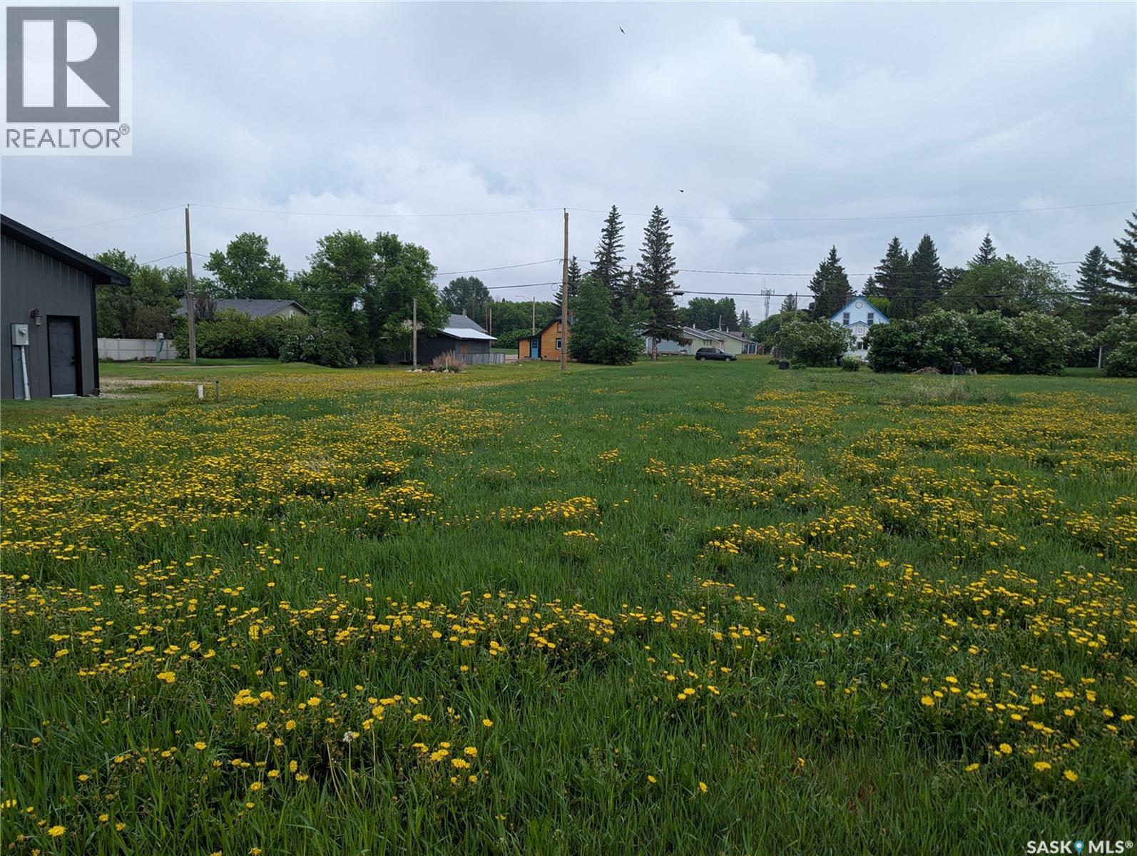 209 Lerew Street Property Photo 16
