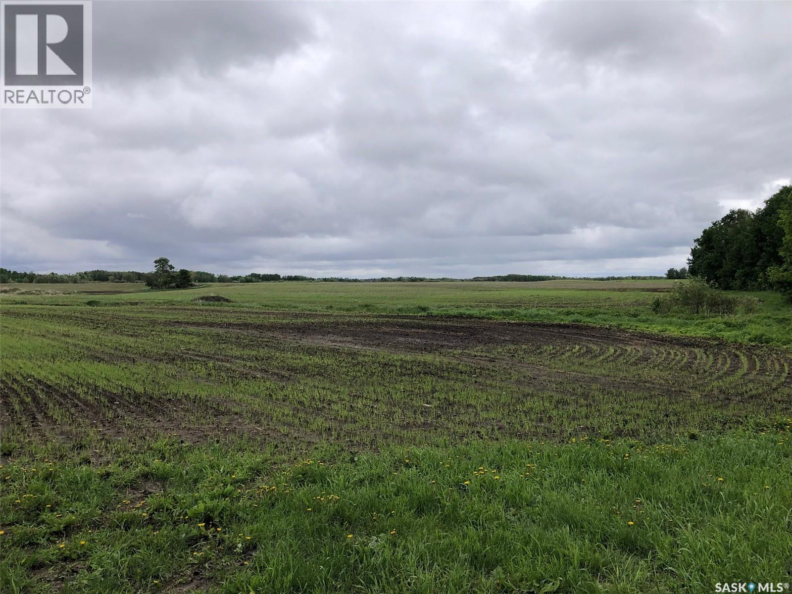 Neustaeter Farm Property Photo 18