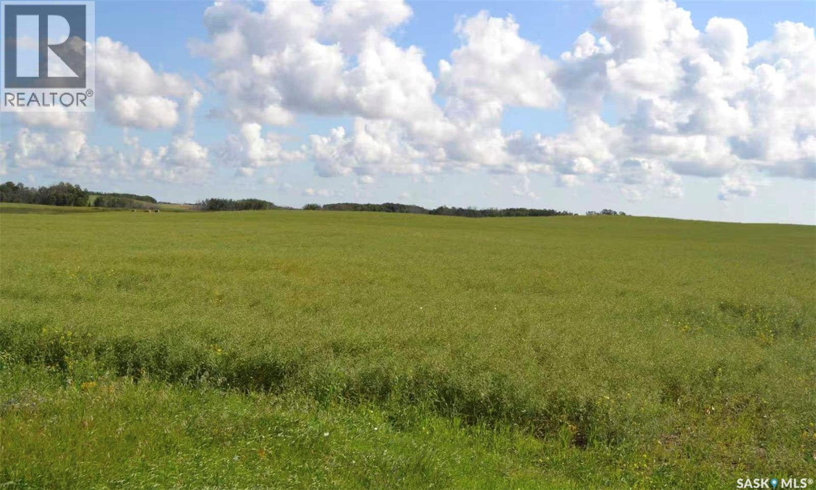 Ituna 5 Quarter Farm Property Photo 1