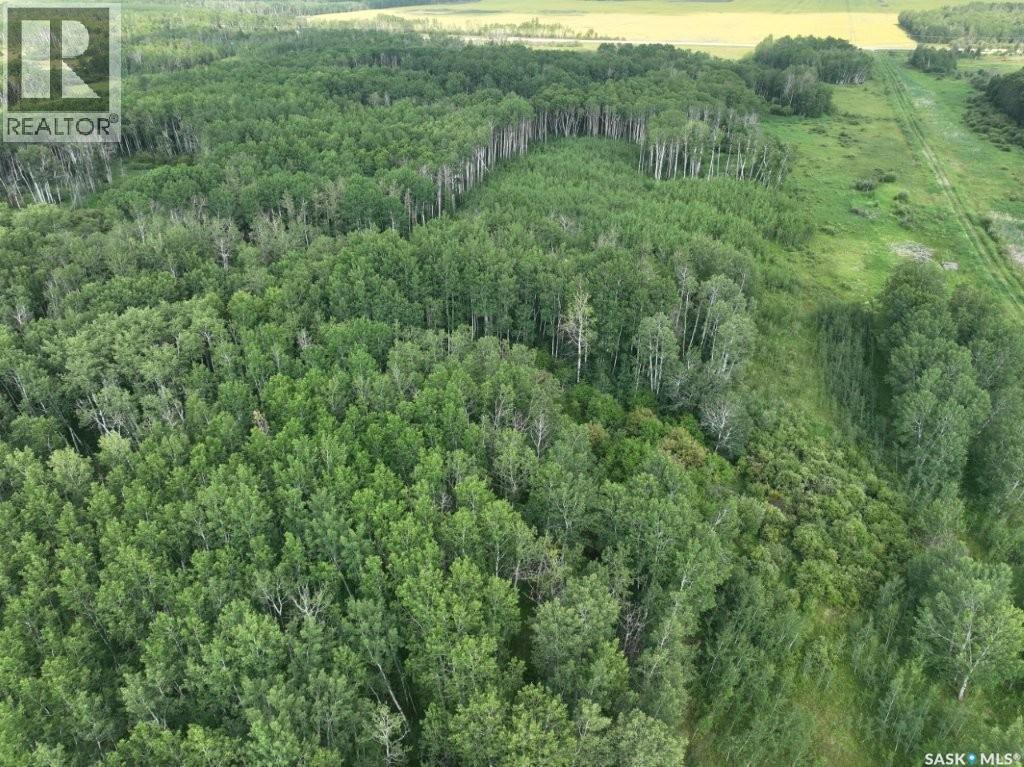 76 Acre Hunters Retreat Land Property Photo 1