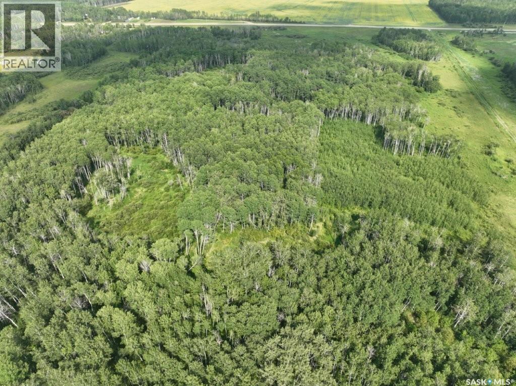 76 Acre Hunters Retreat Land Property Photo 7