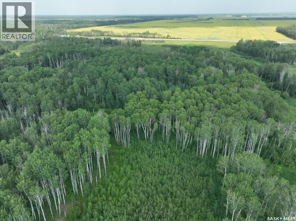 76 Acre Hunters Retreat Land Property Photo 9