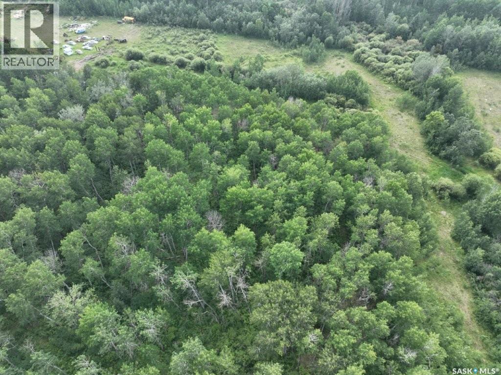 76 Acre Hunters Retreat Land Property Photo 10