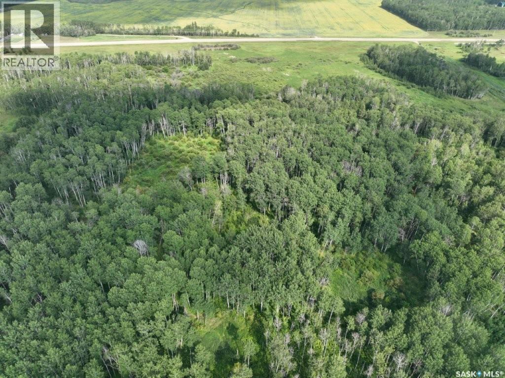 76 Acre Hunters Retreat Land Property Photo 12