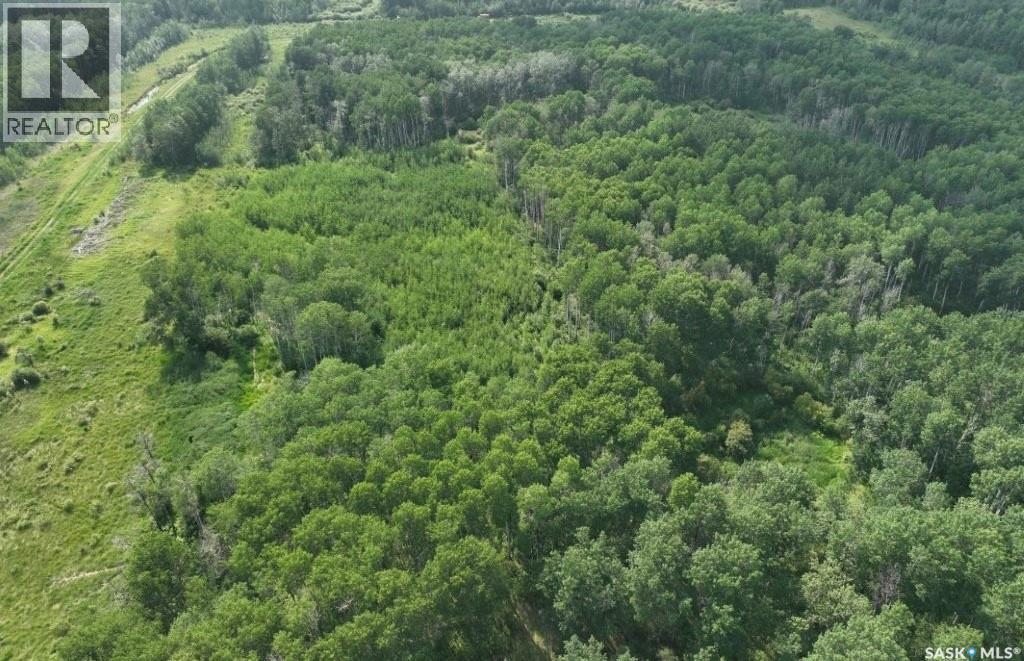 76 Acre Hunters Retreat Land Property Photo 14