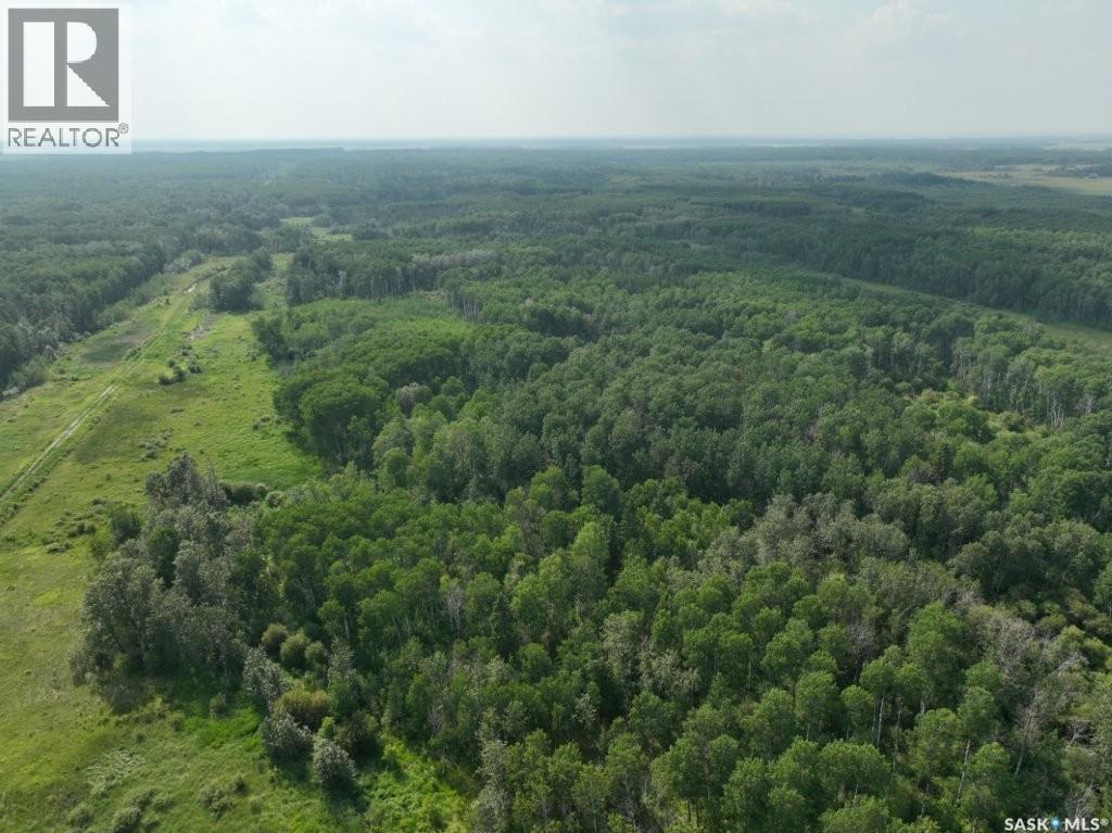 76 Acre Hunters Retreat Land Property Photo 18