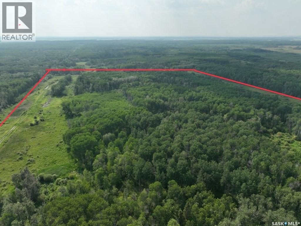 76 Acre Hunters Retreat Land Property Photo 19