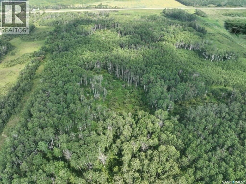 76 Acre Hunters Retreat Land Property Photo 21