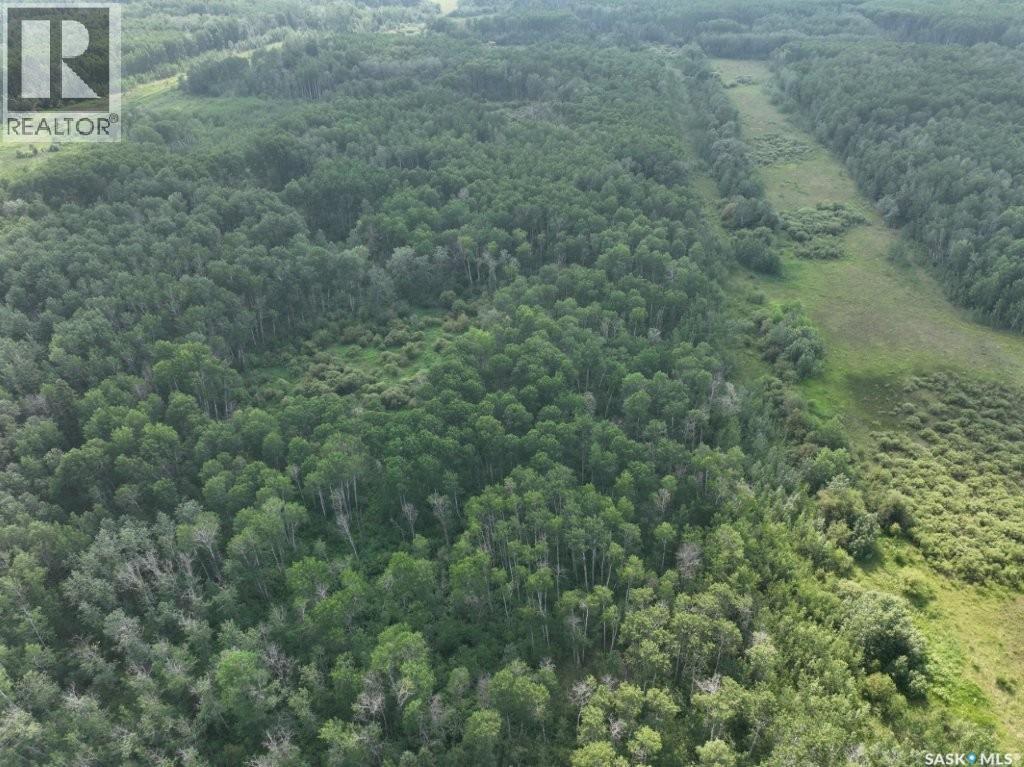76 Acre Hunters Retreat Land Property Photo 22