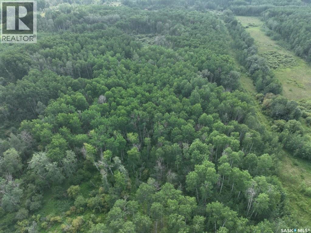 76 Acre Hunters Retreat Land Property Photo 24
