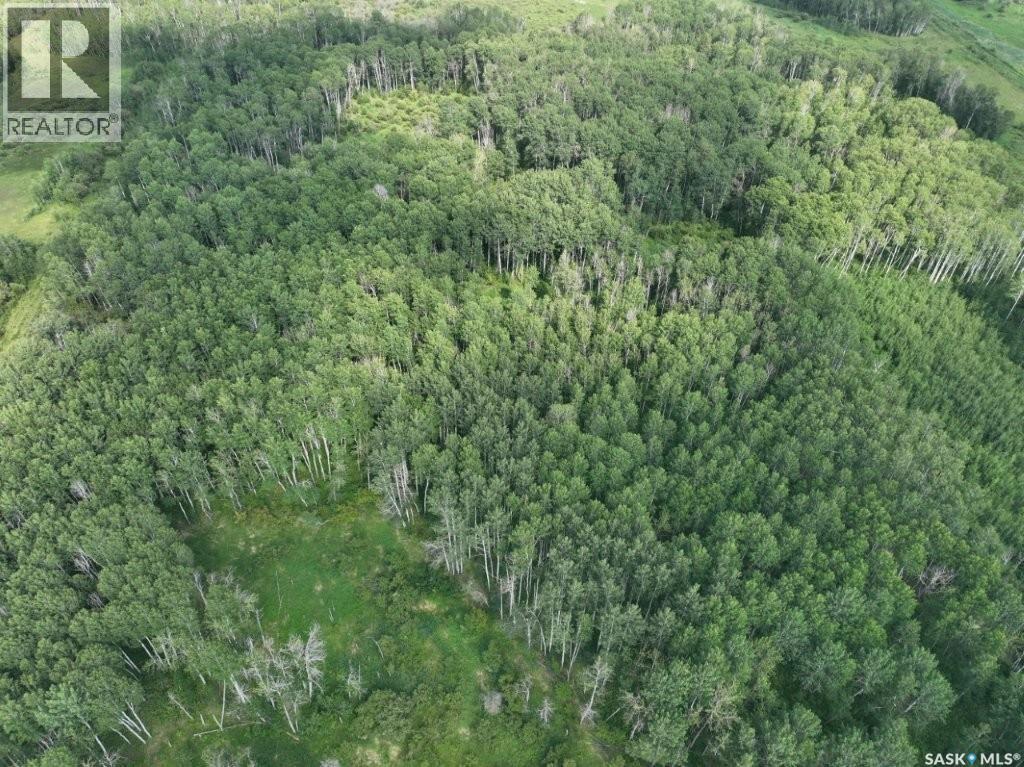 76 Acre Hunters Retreat Land Property Photo 33