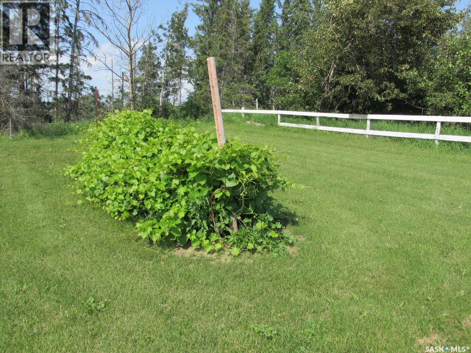 Koehnlein Acreage Property Photo 51