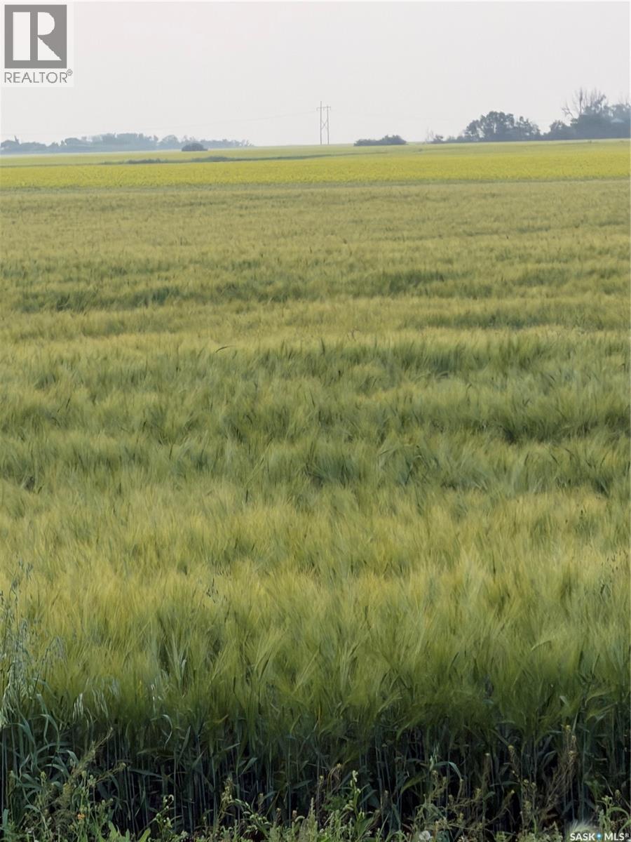 Dairy Farm Property Photo 6