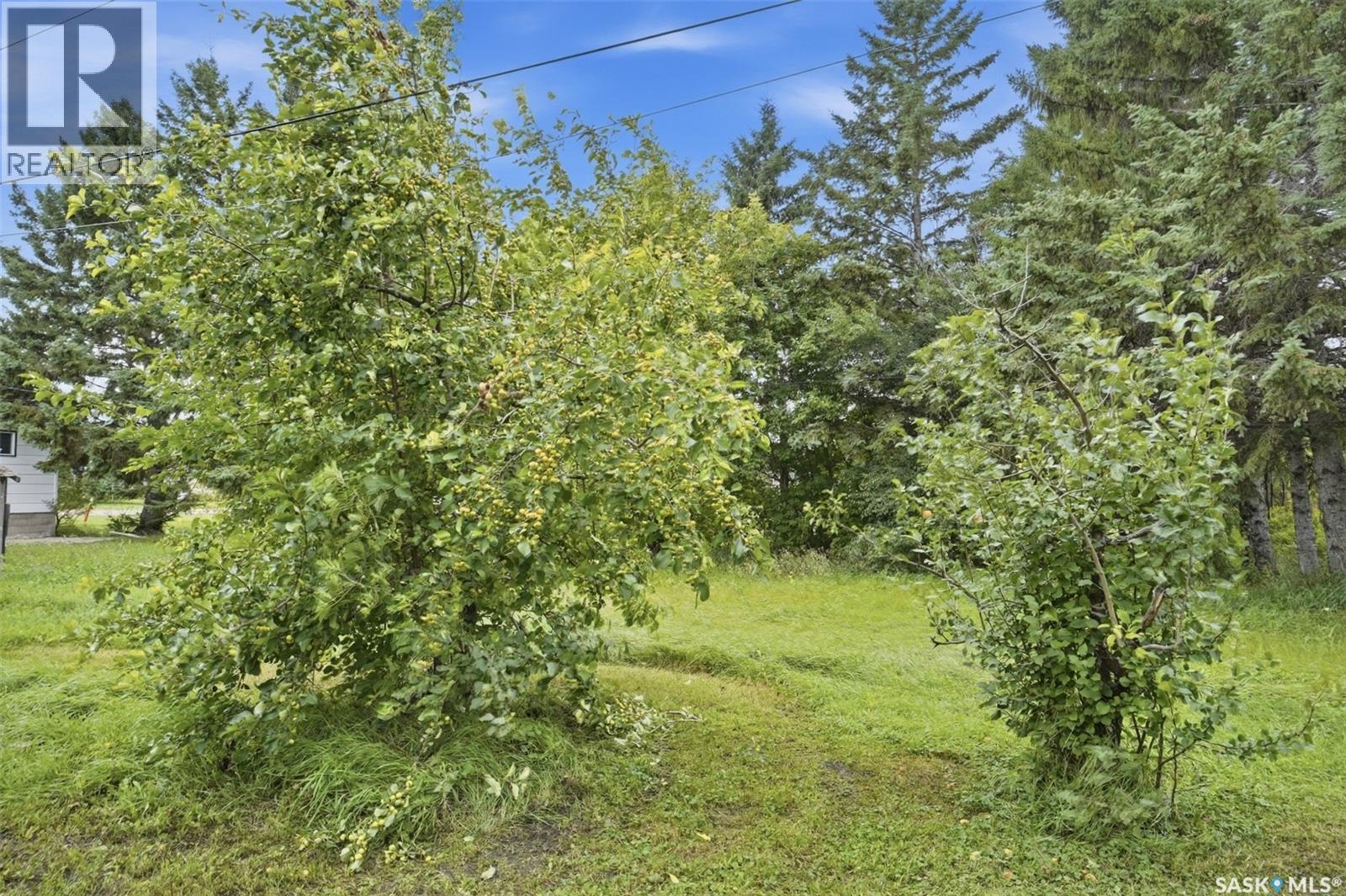 202 Princess Avenue W Property Photo 33